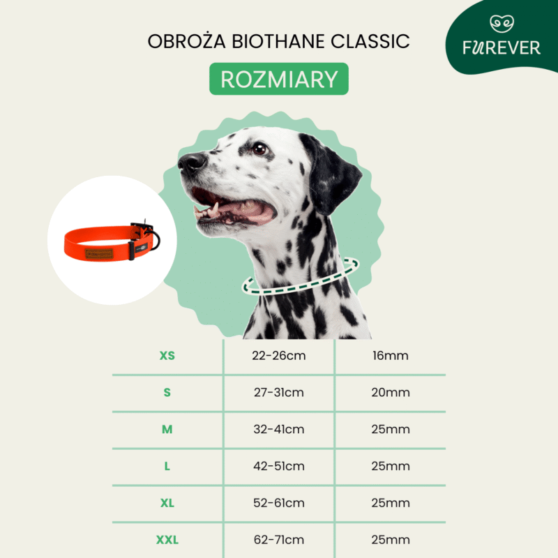 Obroża klasyczna BIOTHANE, różowe złoto - obrazek 3